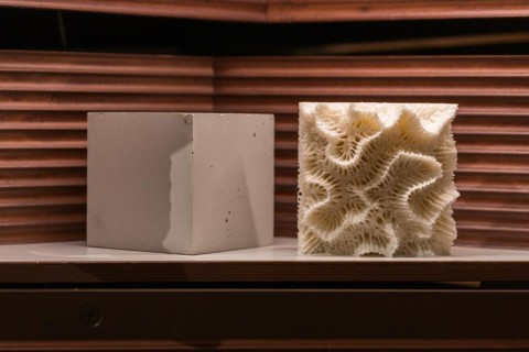 3D printed micro-CT visualisation of coral skeleton next to PARTANNA block.